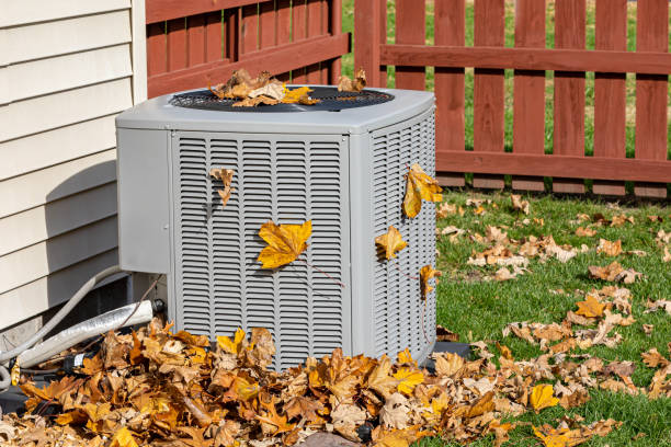 Best HVAC installation services  in Black Diamond, FL