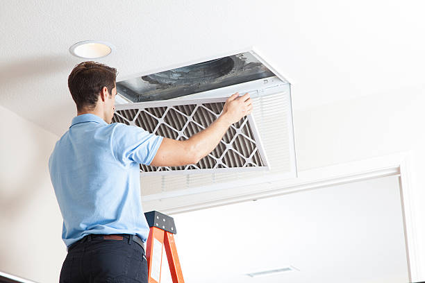 Best Local HVAC companies  in Black Diamond, FL