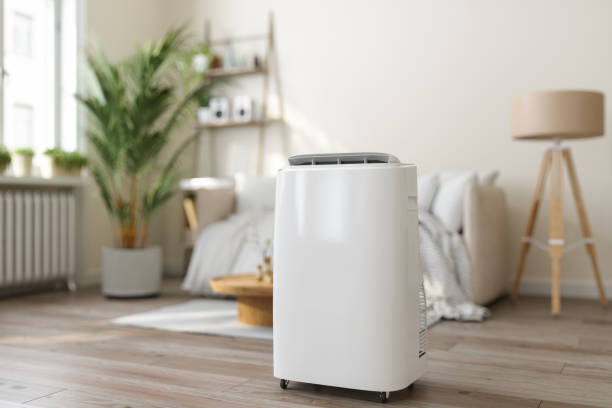 Best HVAC maintenance near me  in Black Diamond, FL